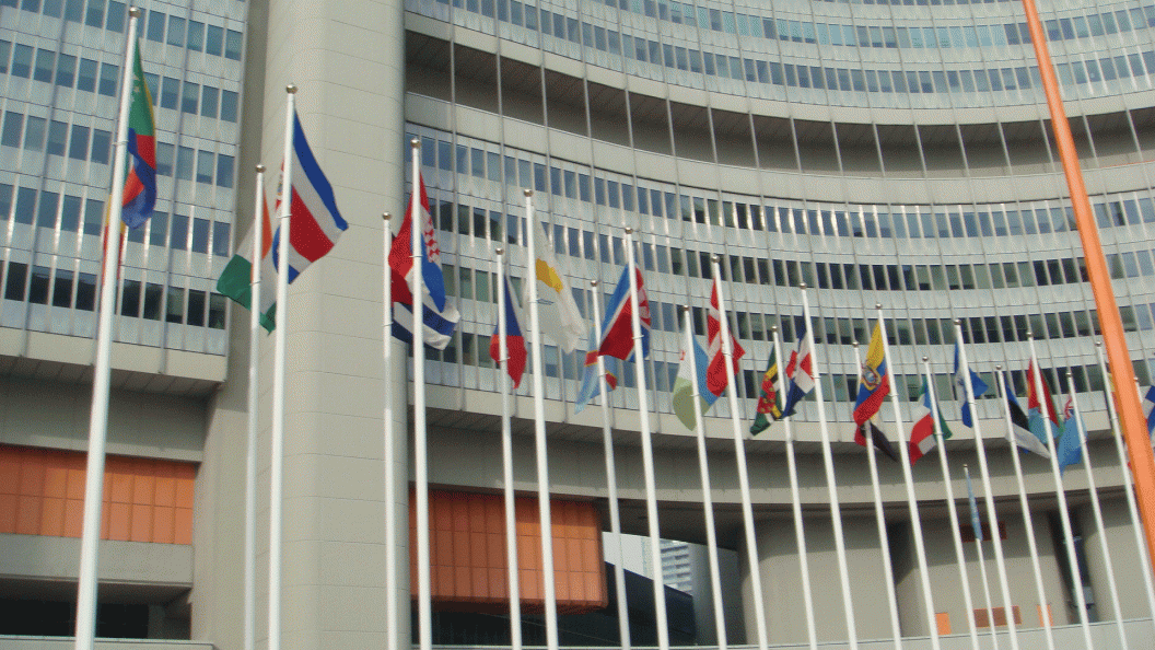 Read more: World Drug Report 2014 and VNGOC meeting in Vienna