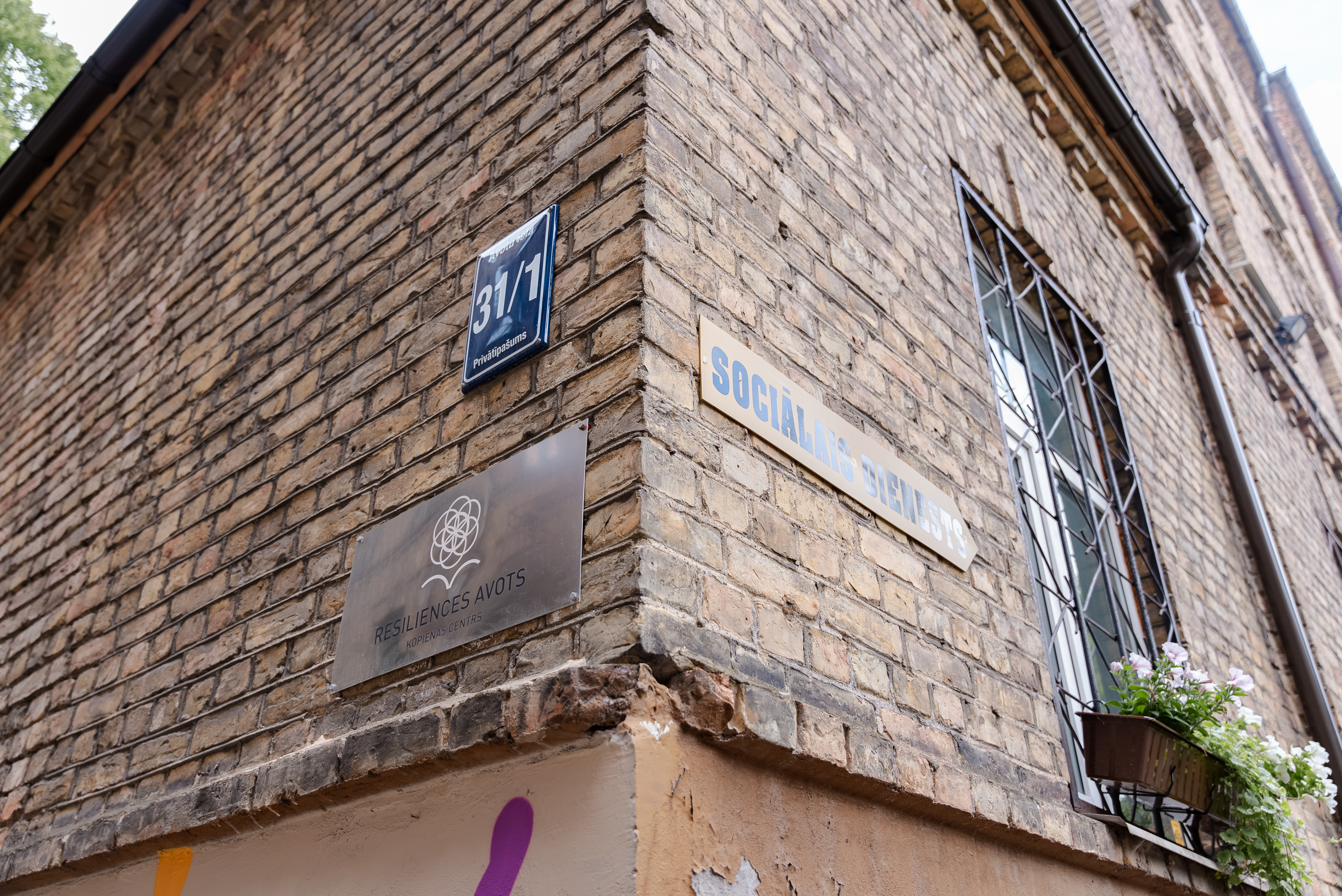 dsc00383 53786293829 o